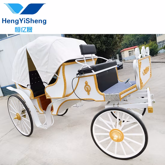Traditional Transport Carriage Vehicle/Sightseeing White Horse Carriage/Pumpkin Horse Wagon