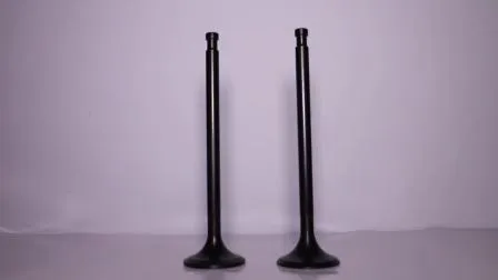 Toyota Passenger Car Part Valve Engine for 4y